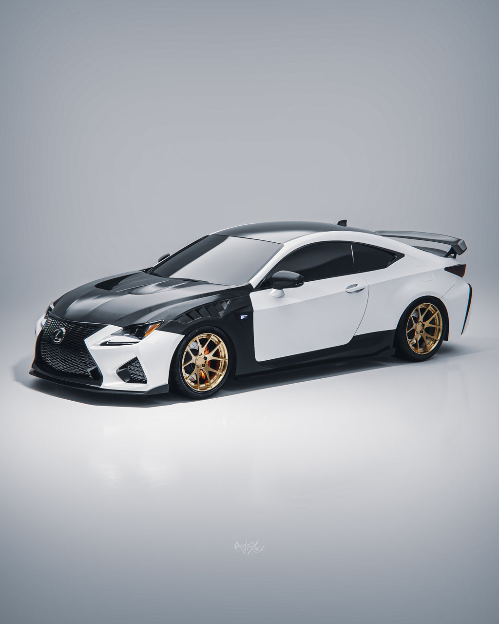 SPMS X ACE COMPOSITES LEXUS RCF CARBON FIBER FENDER