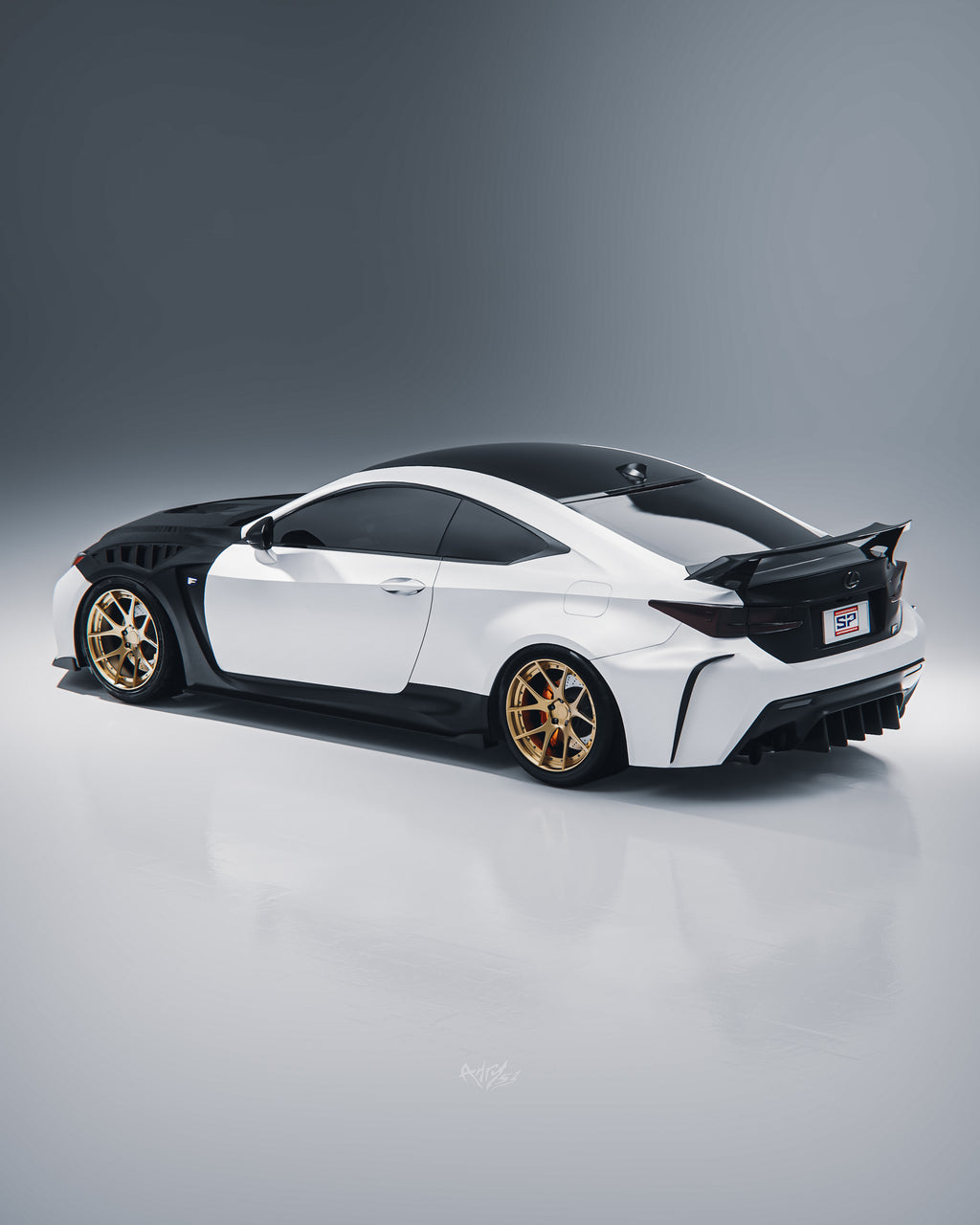SPMS X ACE COMPOSITES LEXUS RCF CARBON FIBER FENDER