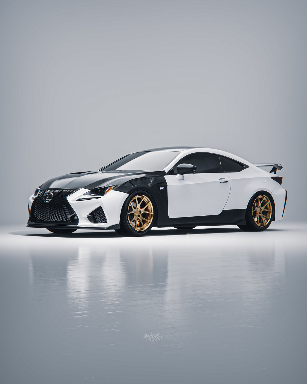 SPMS X ACE COMPOSITES LEXUS RCF CARBON FIBER FENDER